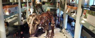 Academy of Natural Sciences